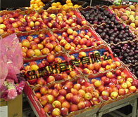 什么样的包装箱比较好使用呢?